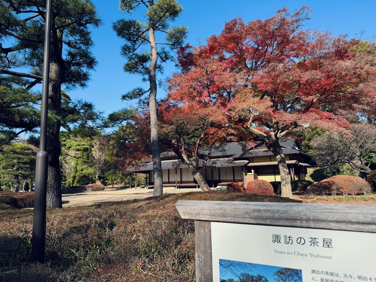 諏訪の茶屋